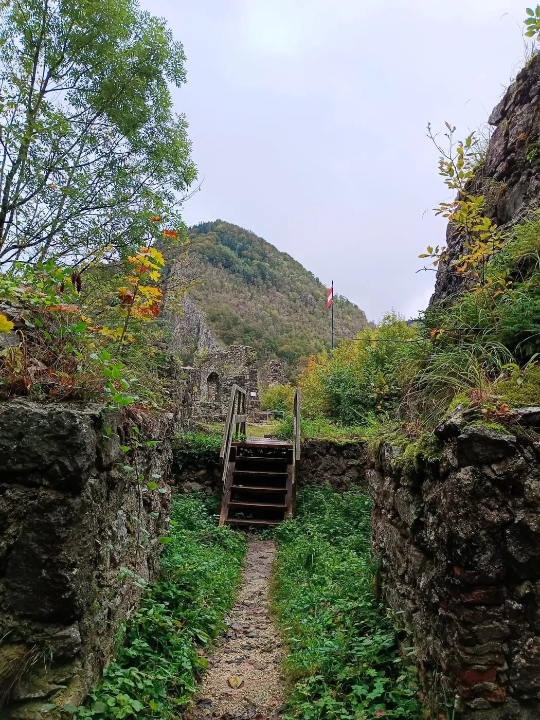 Scharnsteiner Blick (680m)