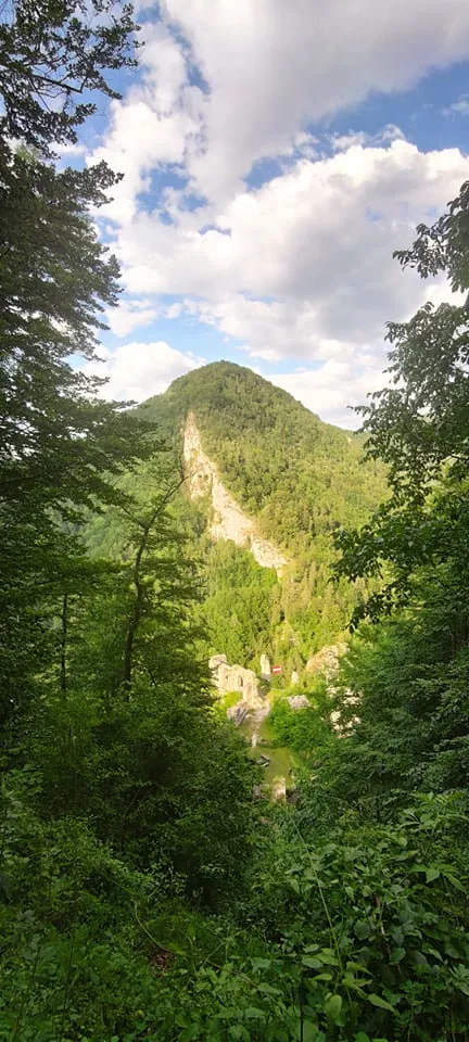 Scharnsteiner Spitze (1133m)