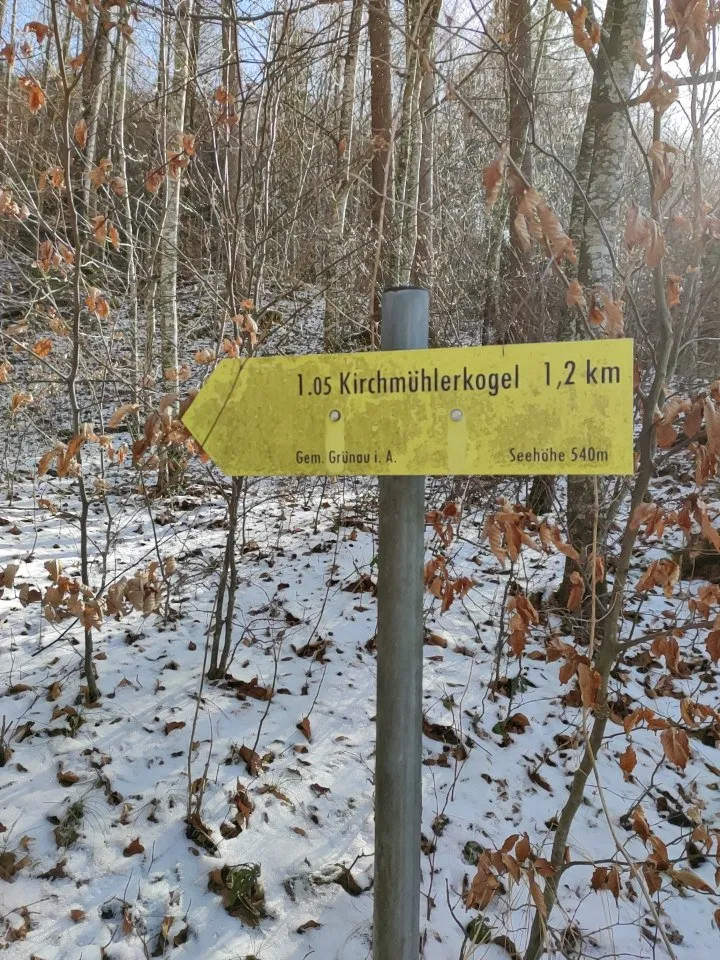 Scheiterwiedberg (977m) & Kirchmühlerkogel (617m) in der Grünau