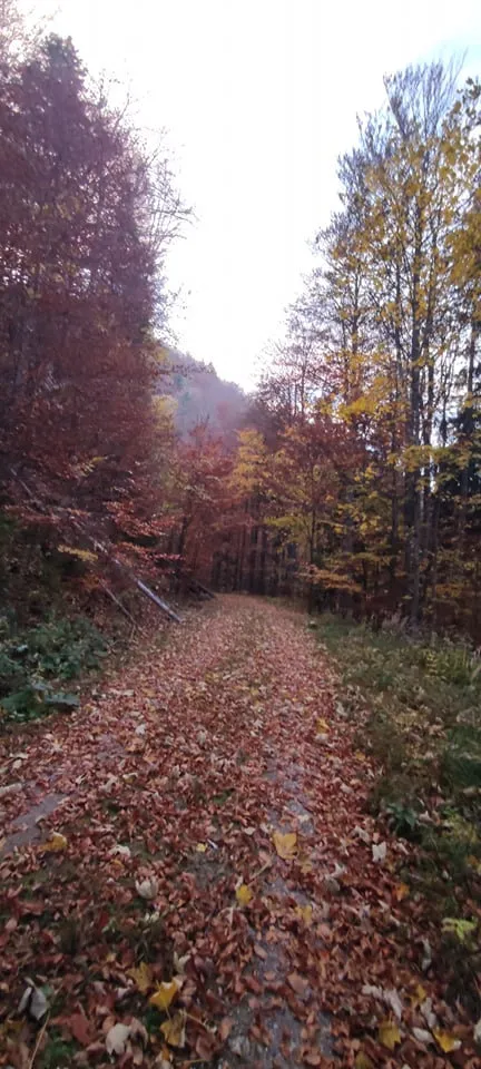 Schellenstein /760m) & 3-S-Bankerl (632, 2m) in Micheldorf