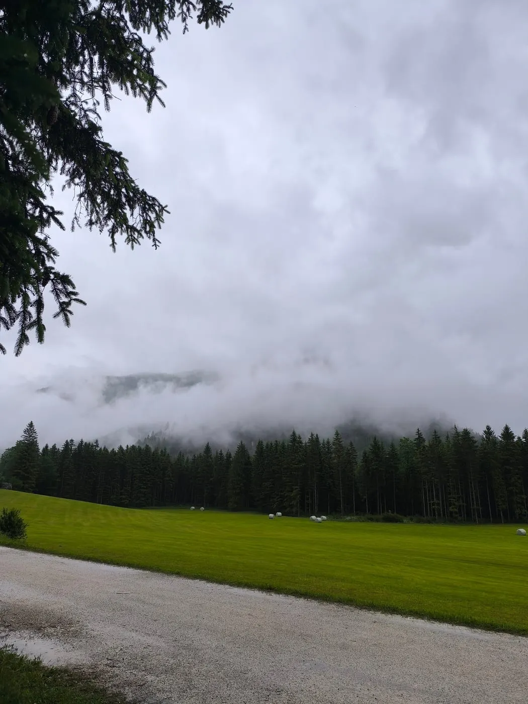 Schiederweiher - schönster Platz Österreichs 2018/2019