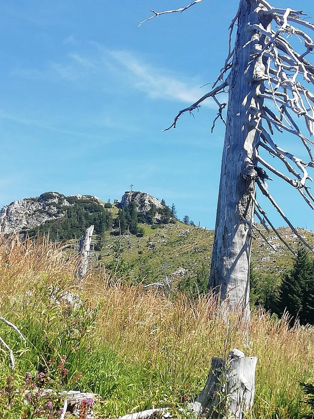 Schlafende Griechin (Erlakogel 1575m)