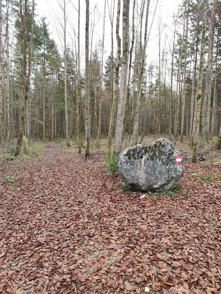 Schneiderberg (1324m) am Almsee