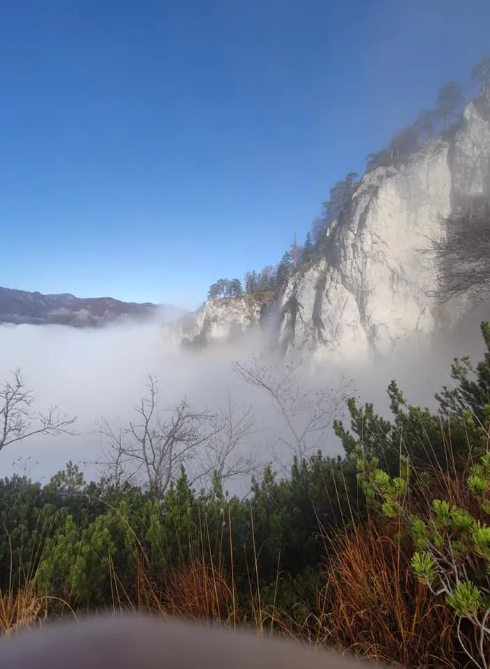Schneiderberg (1324m) am Almsee