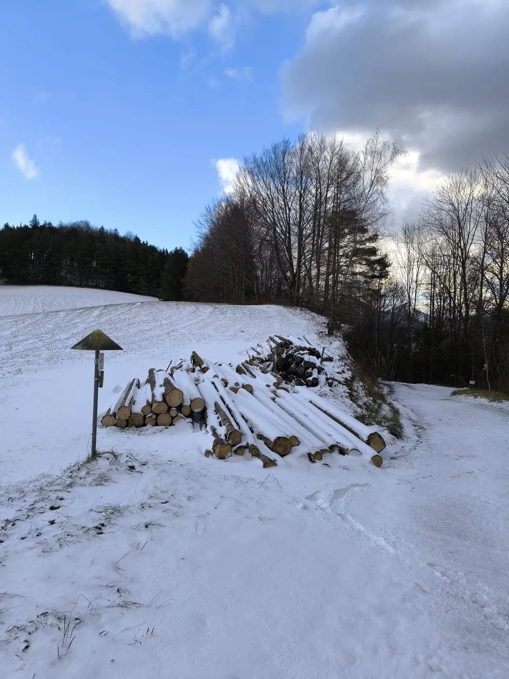 Schönberg (745m)