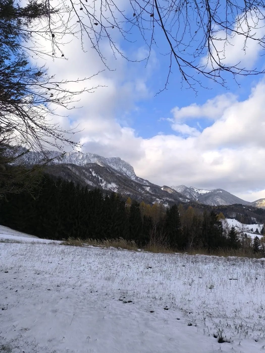 Schönberg (745m)