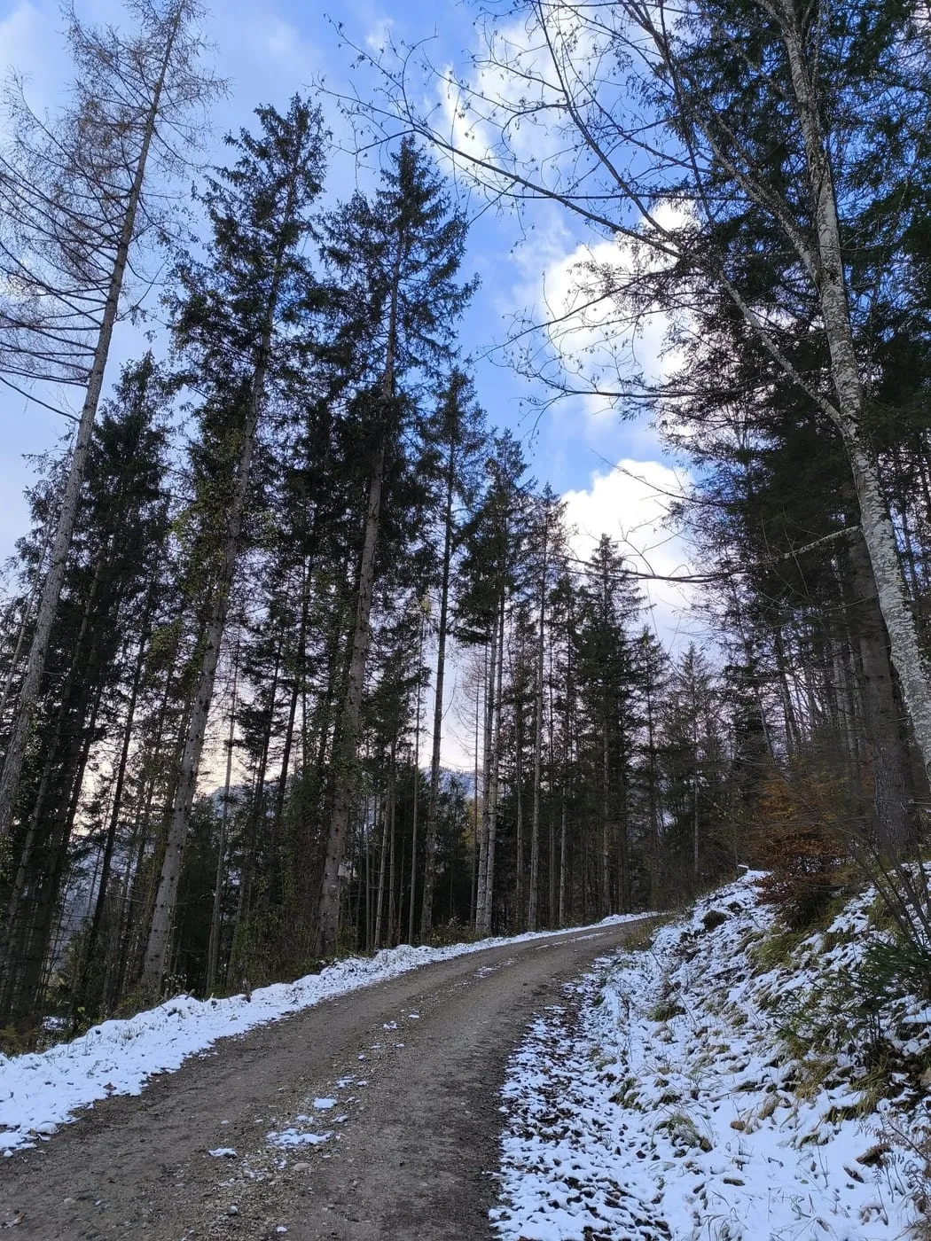 Schönberg (745m)