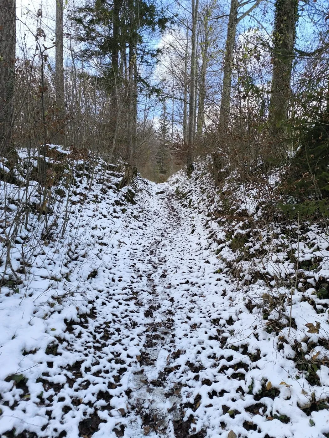 Schönberg (745m)