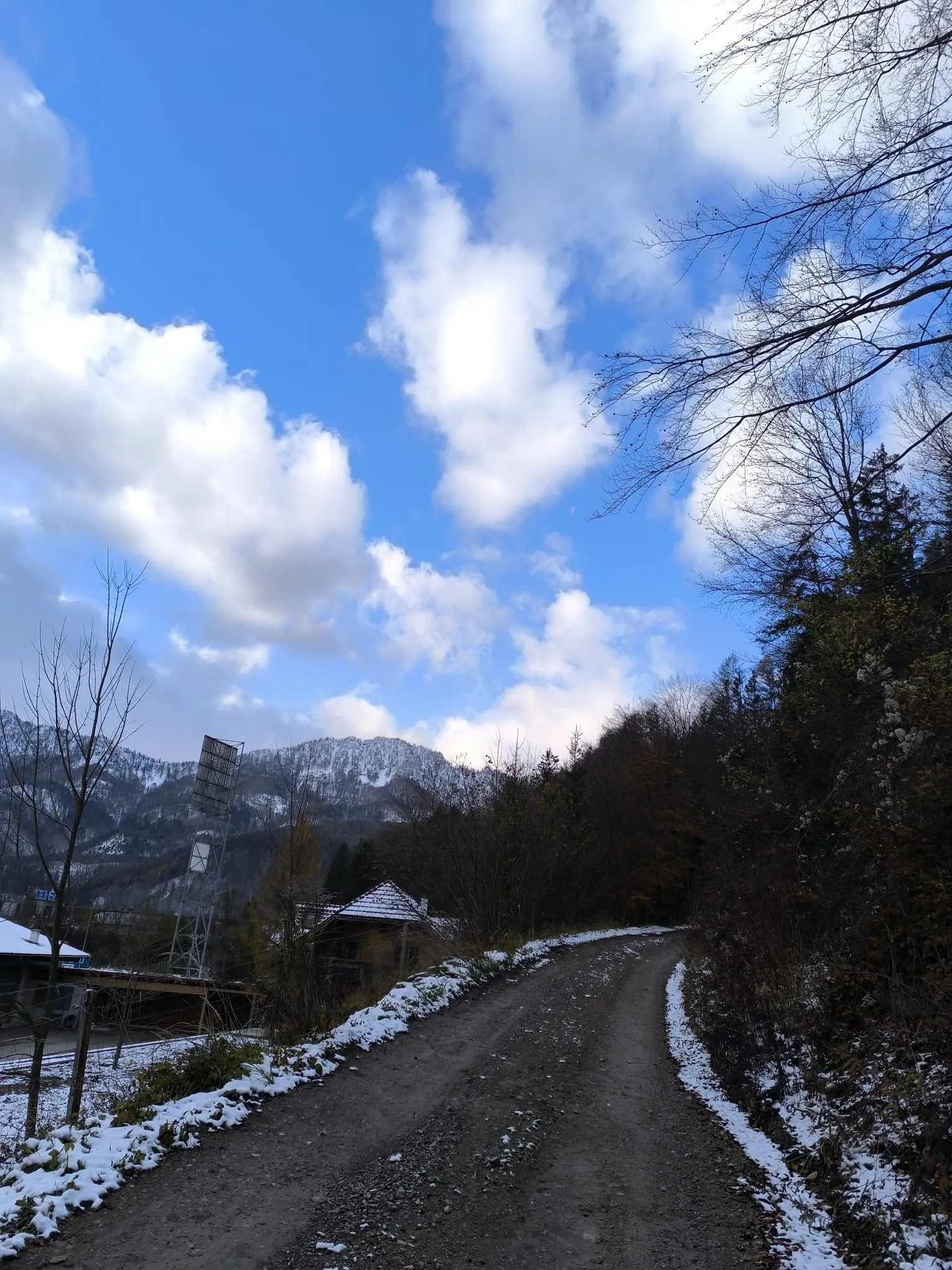 Schönberg (745m)