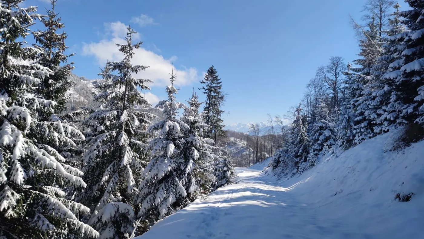 Schwereck (1194m) - endlich geschafft