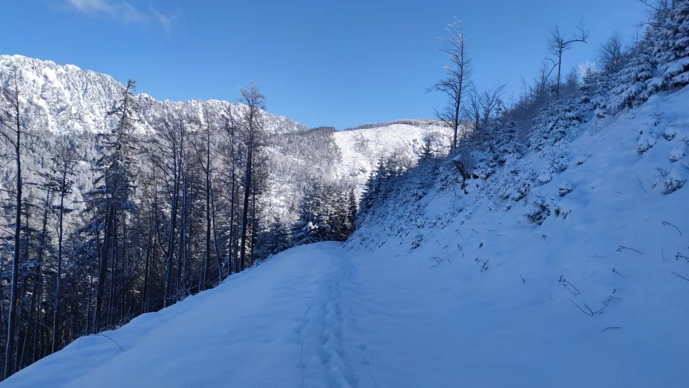 Schwereck (1194m) - endlich geschafft