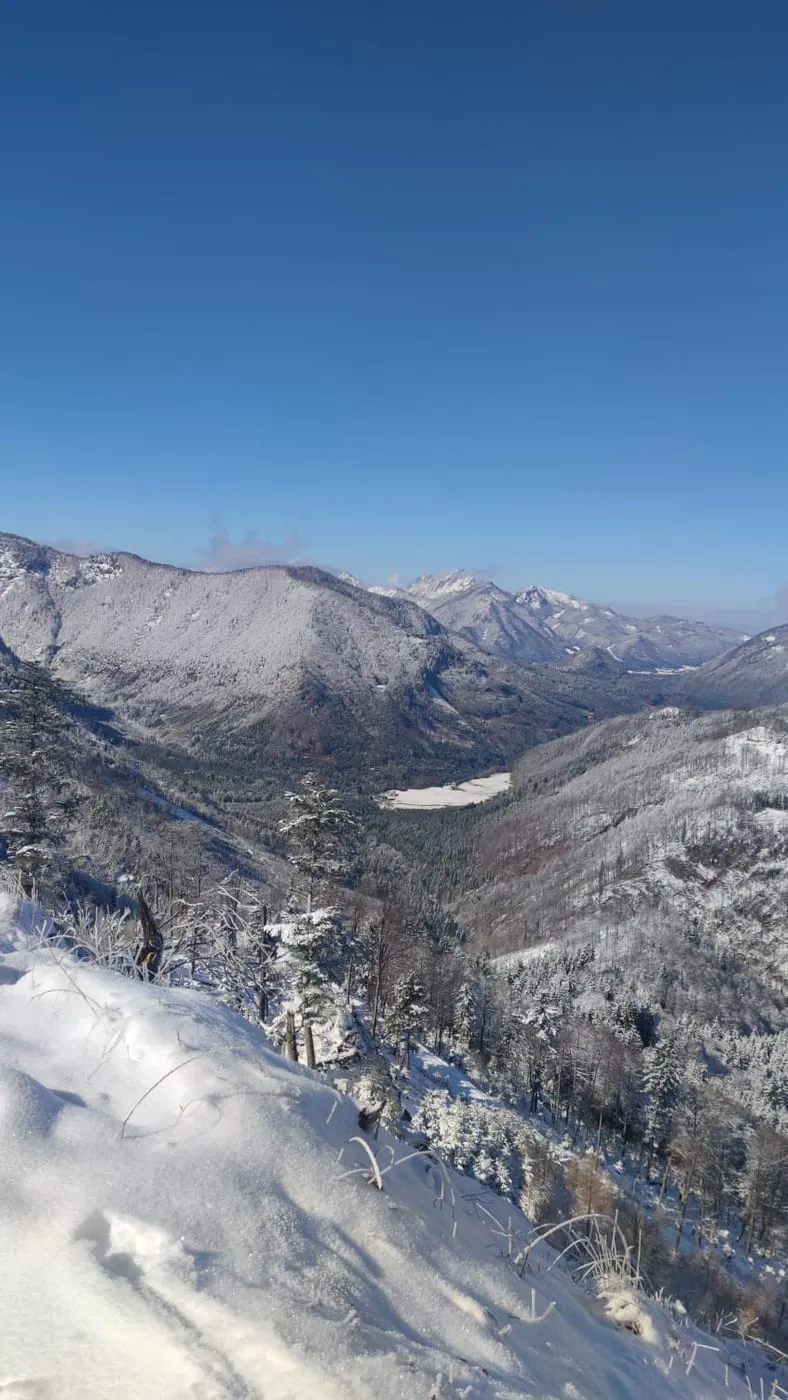 Schwereck (1194m) - endlich geschafft