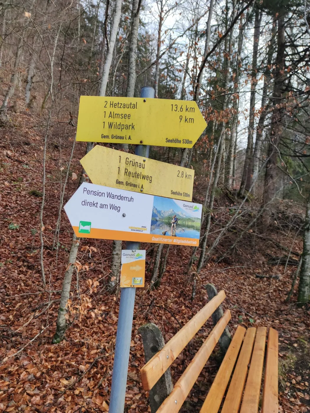 Sonnwärtskogel (1195m)