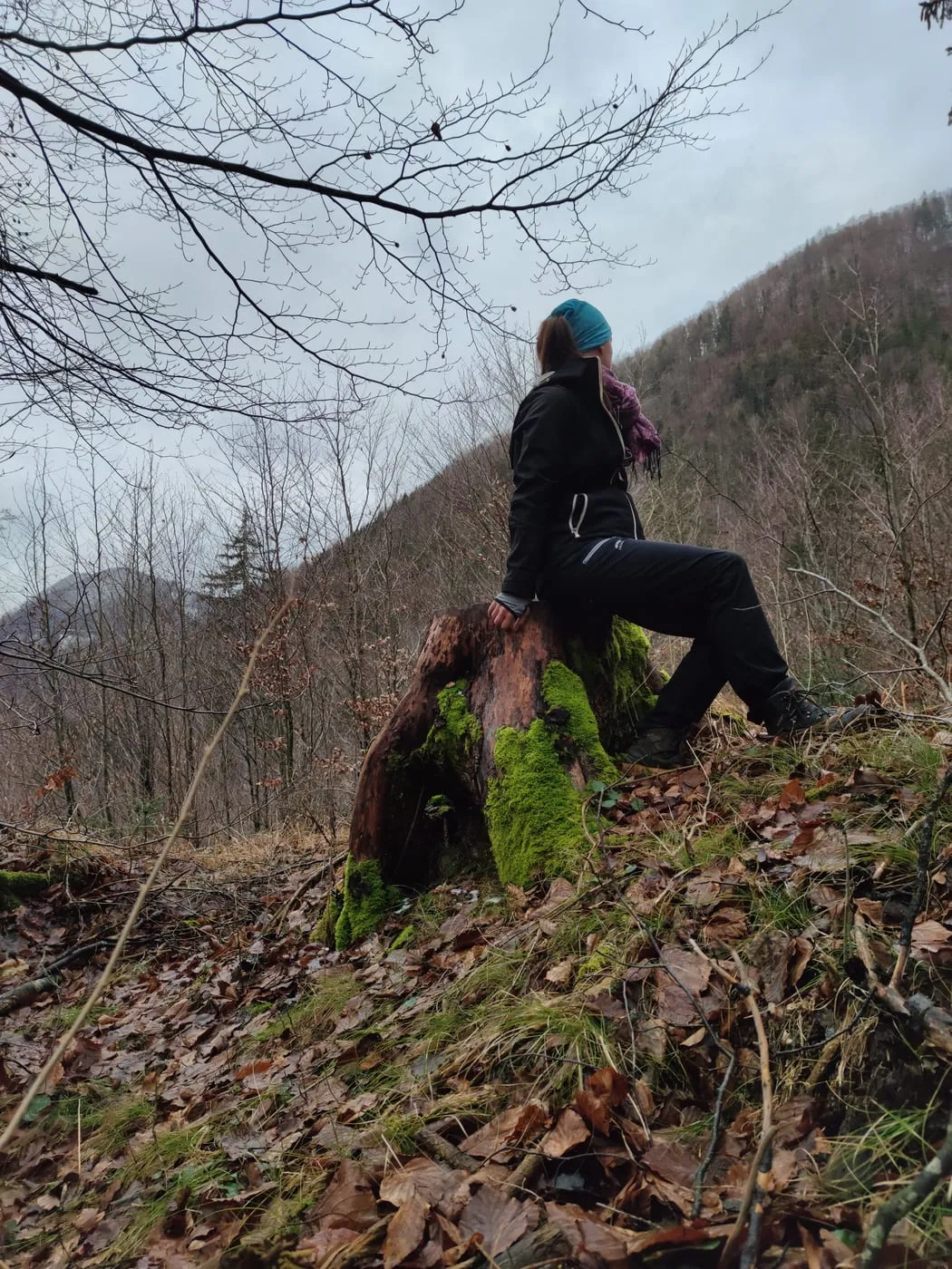Sonnwärtskogel (1195m)