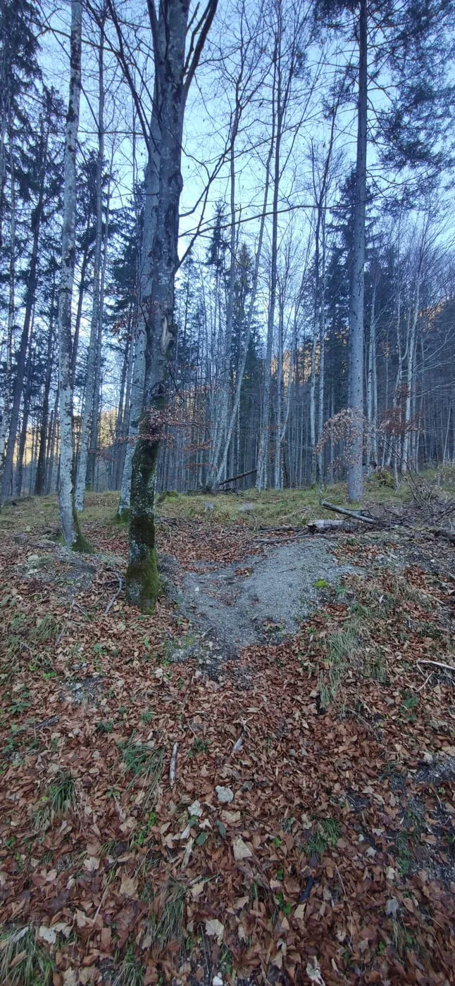 Großer Spitzberg
