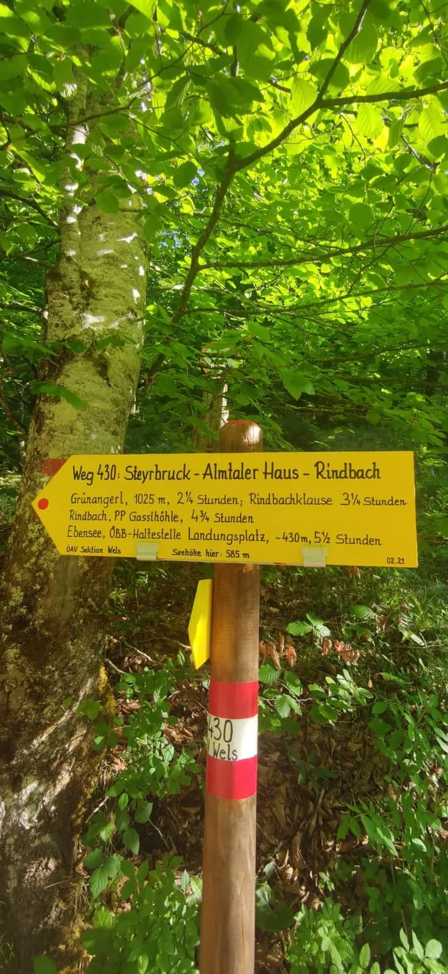 Steinberg (1458m)- ein einsames Gipfelerlebnis