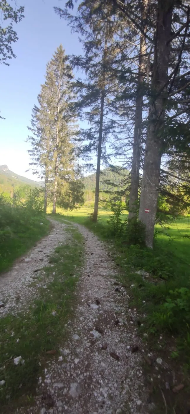 Steinberg (1458m)- ein einsames Gipfelerlebnis