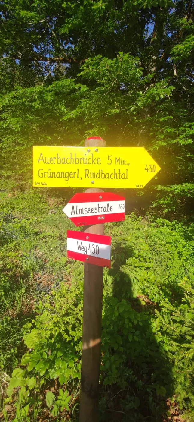 Steinberg (1458m)- ein einsames Gipfelerlebnis