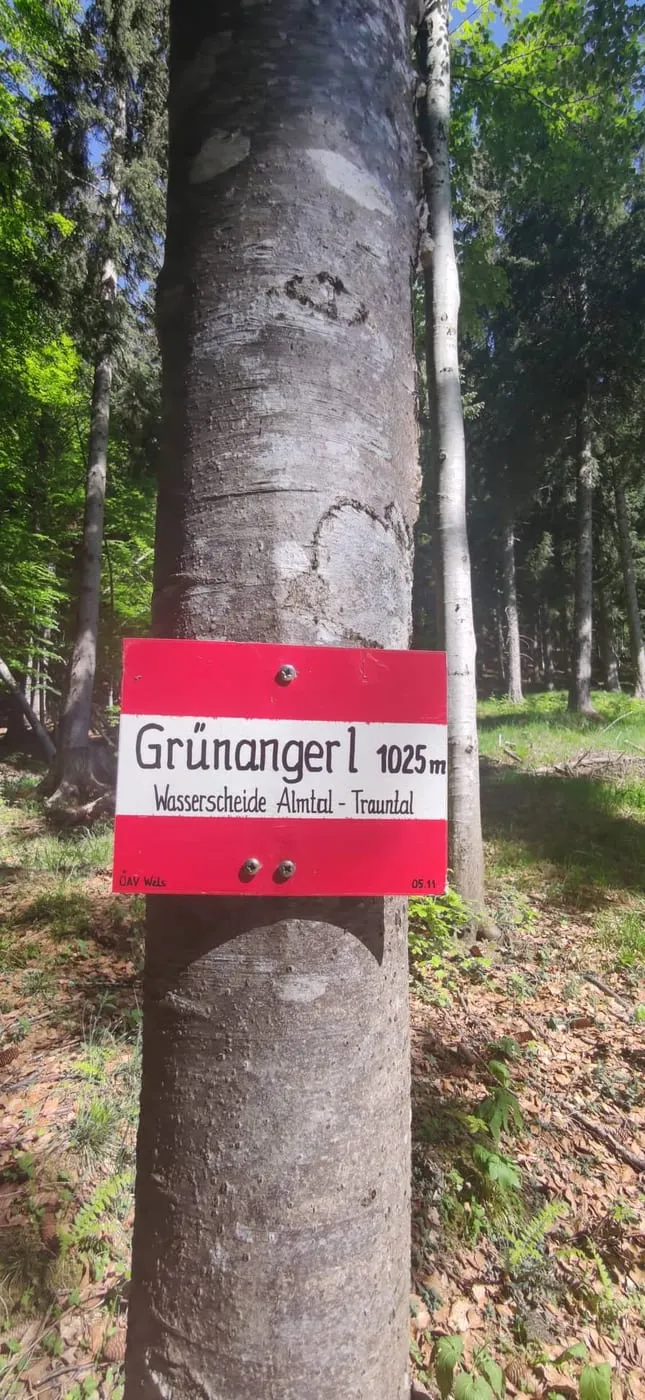 Steinberg (1458m)- ein einsames Gipfelerlebnis