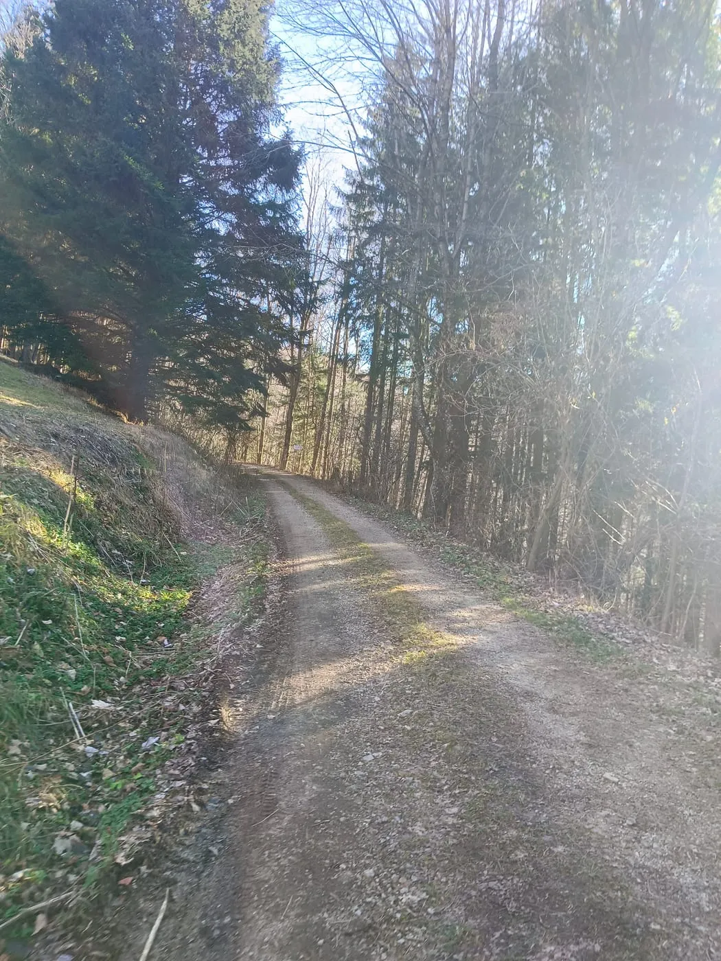 Ochsenkogel