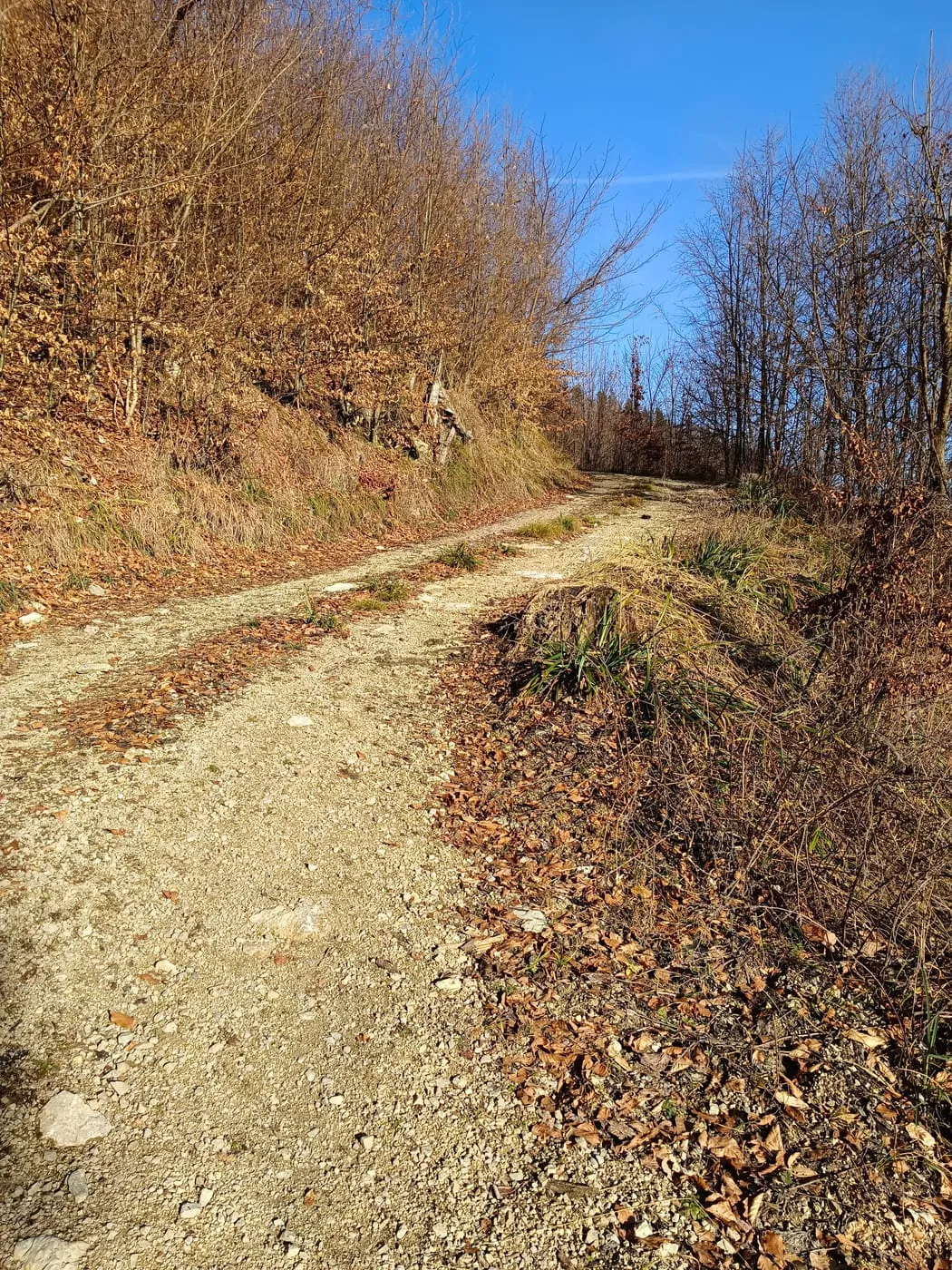 Steinkogel