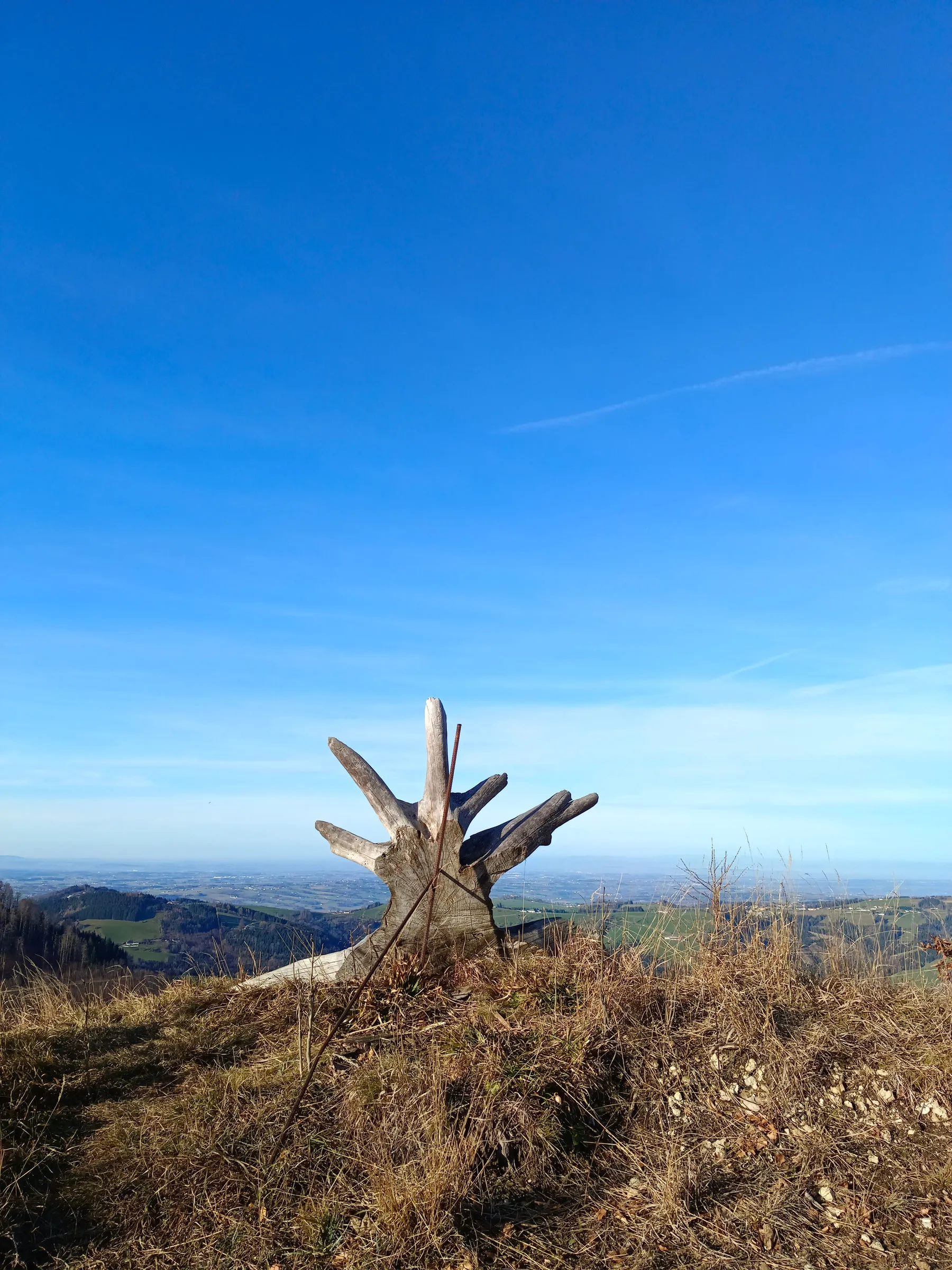 Steinkogel - einsamer Gipfel bei Burg Altpernstein