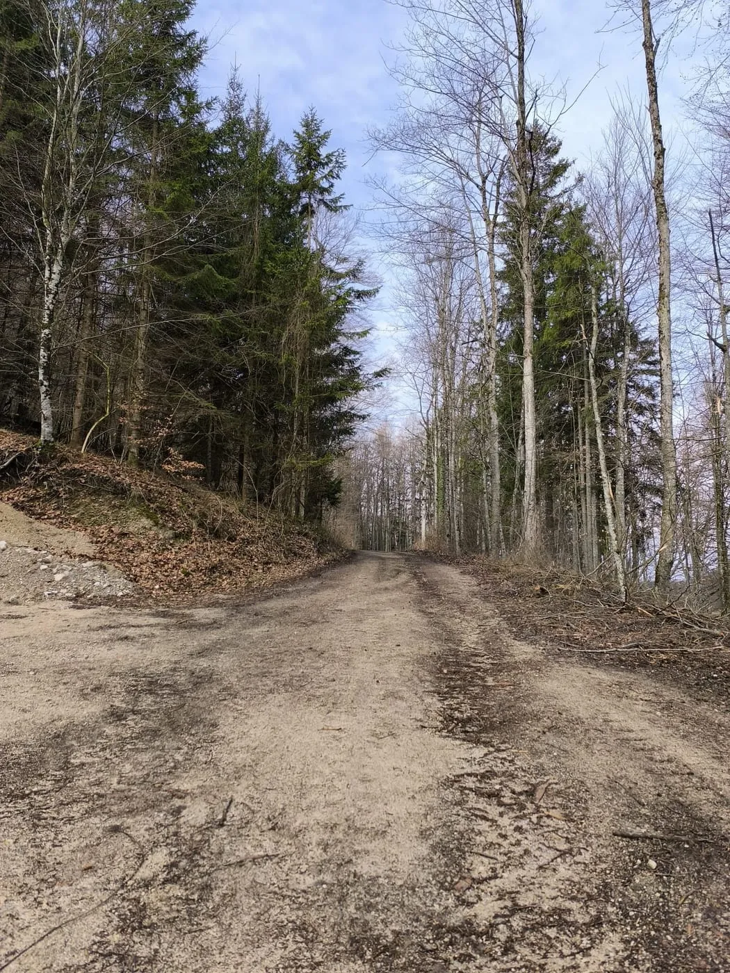 Steinmühlen (1099m) via Hambaum
