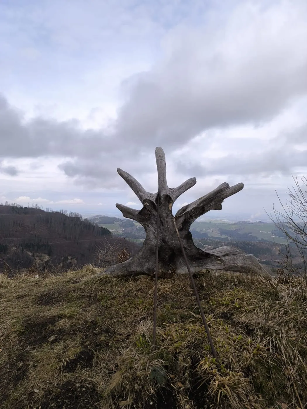 Steinmühlen (1099m) via Hambaum
