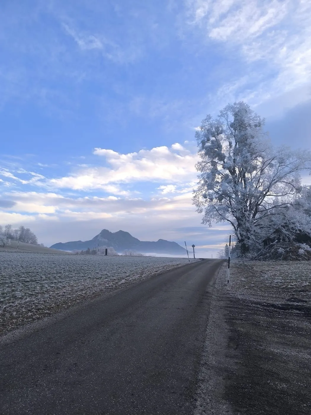 Steinmühlen (1099m) via Hambaum und unbekannter Gipfel (Steinkogel?)