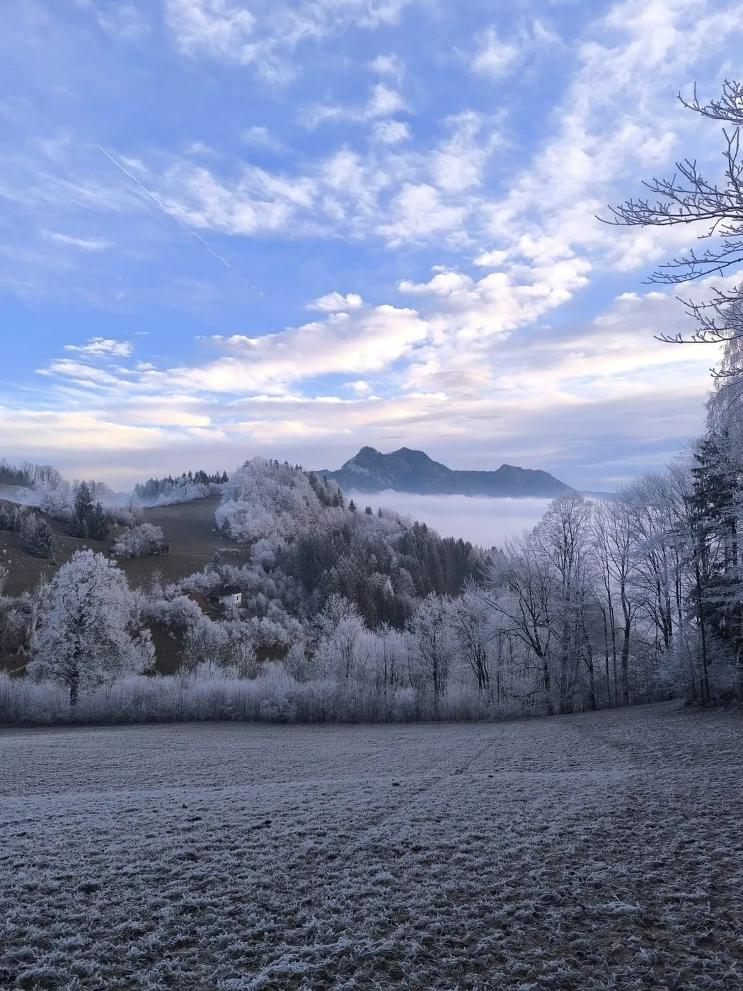 Steinmühlen (1099m) via Hambaum und unbekannter Gipfel (Steinkogel?)
