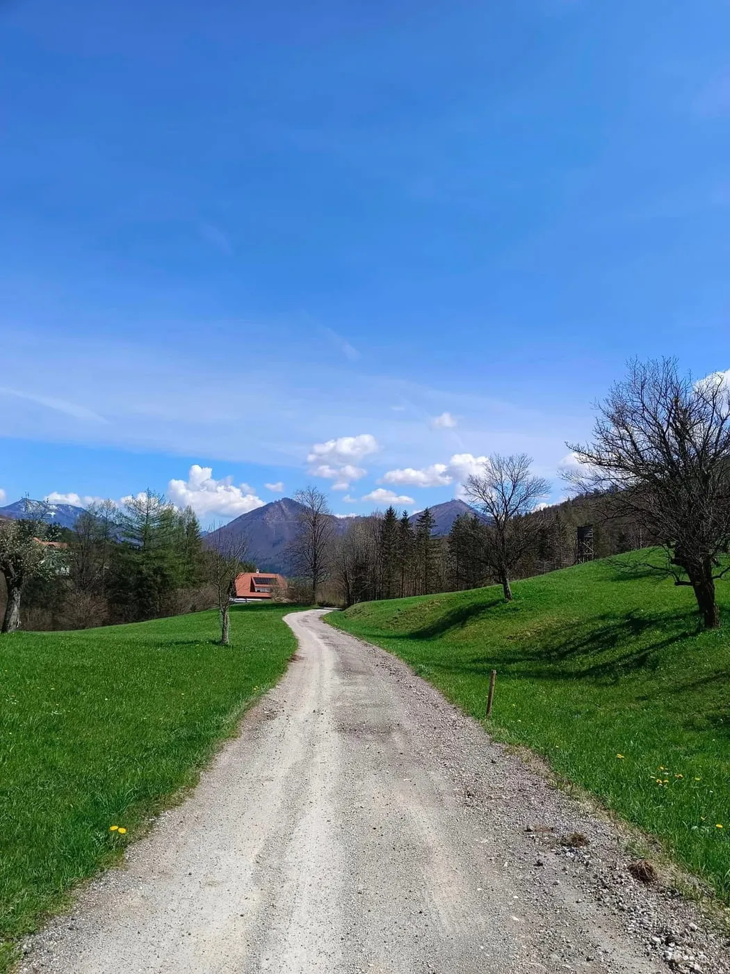 Forststraße