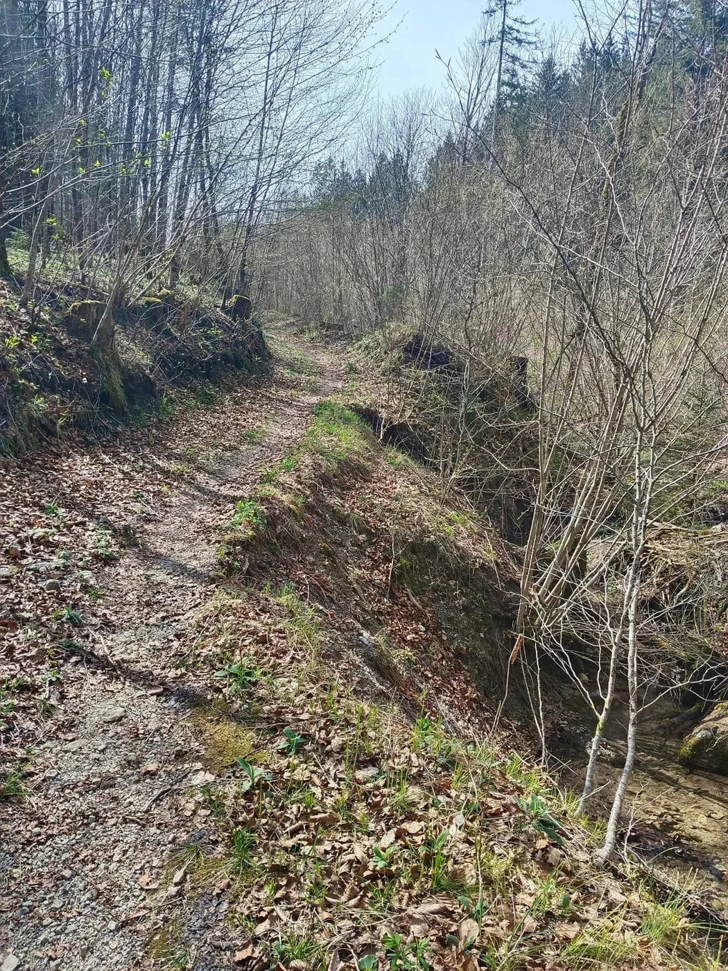 Steyrdurchbruch Wanderung