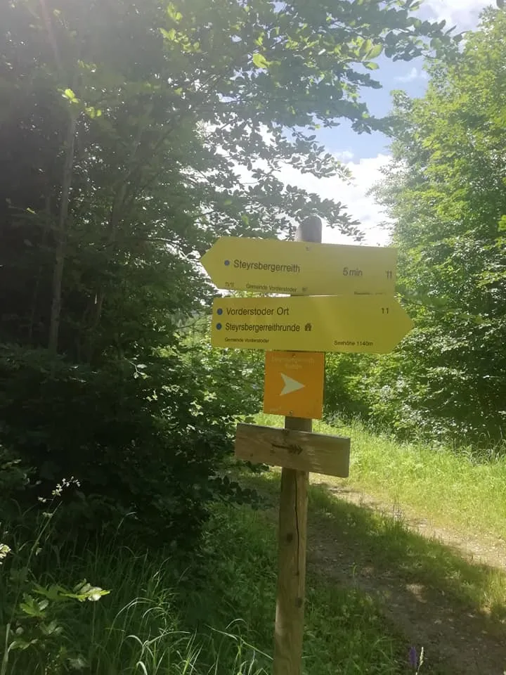 Steyrsbergerreith (1193m) in Vorderstoder - Almwanderung