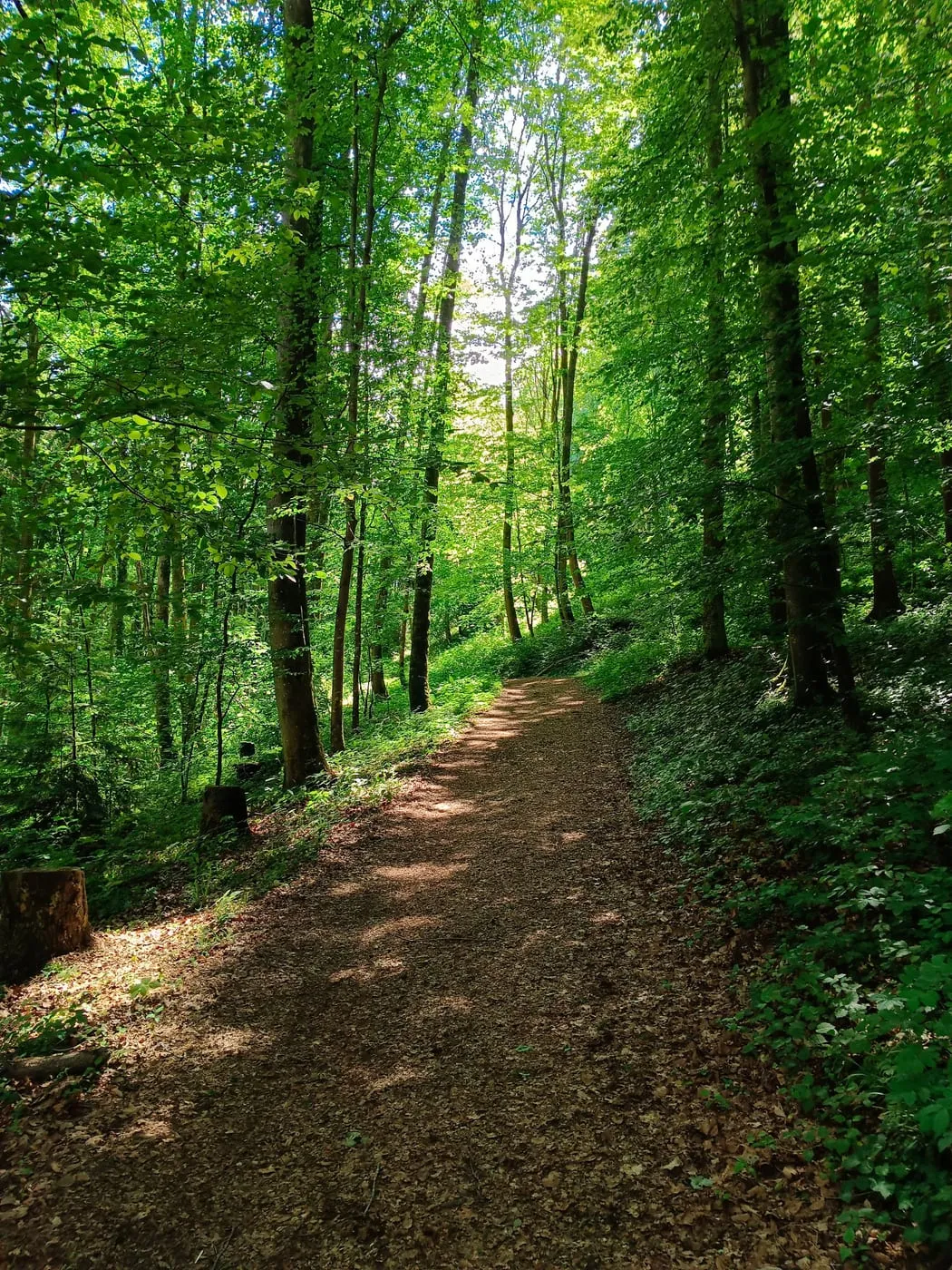 Tempetal Rundweg Kremsmünster