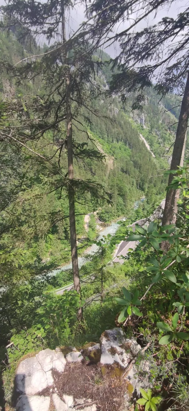 Vom Poppenberg (860m) zum Steyrsberg (1007m) & Strumboding Wasserfall