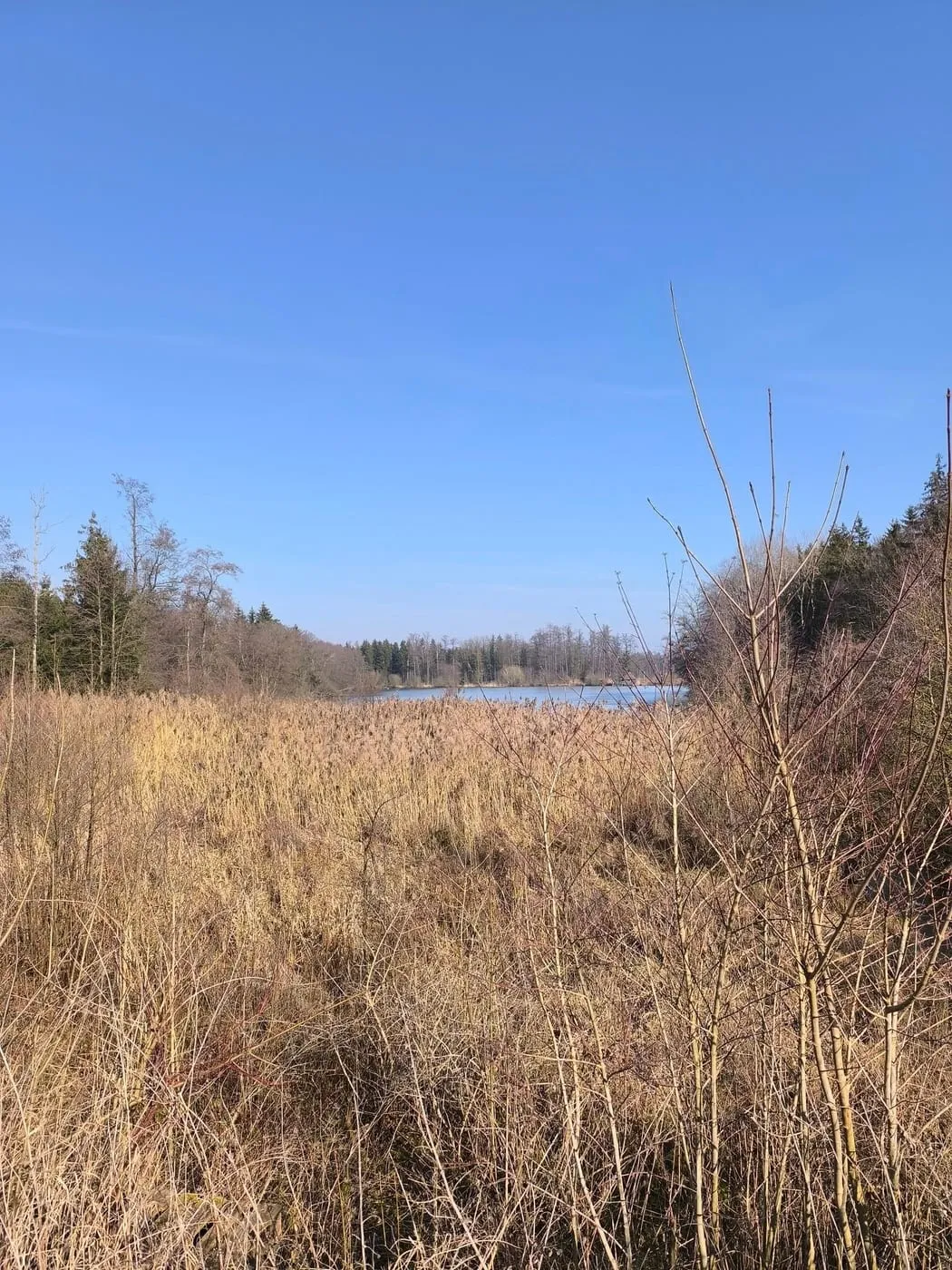 Wanderung um die Schacherteiche (Großer und Kleiner Schacherteich)
