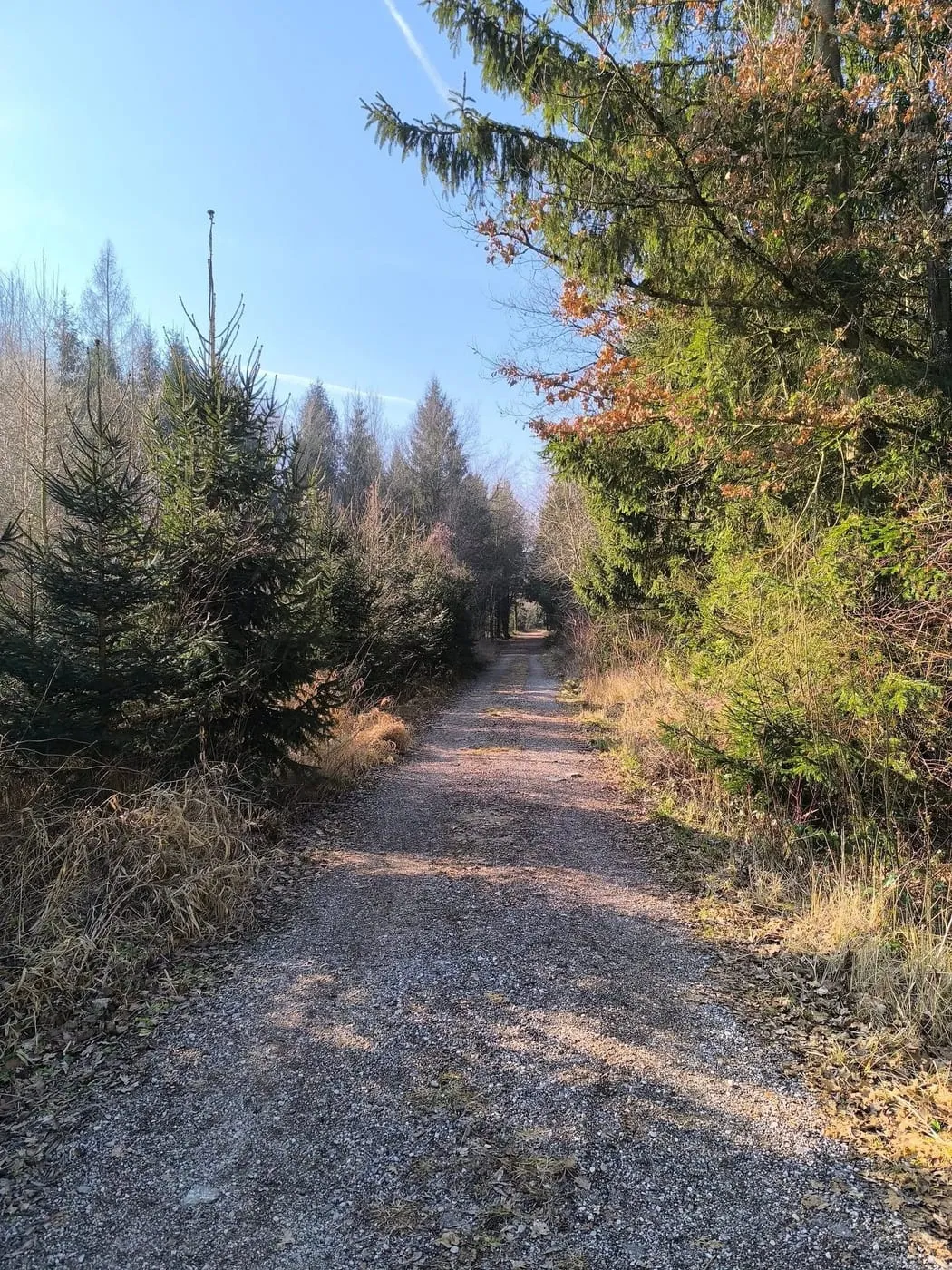 Wanderung um die Schacherteiche (Großer und Kleiner Schacherteich)