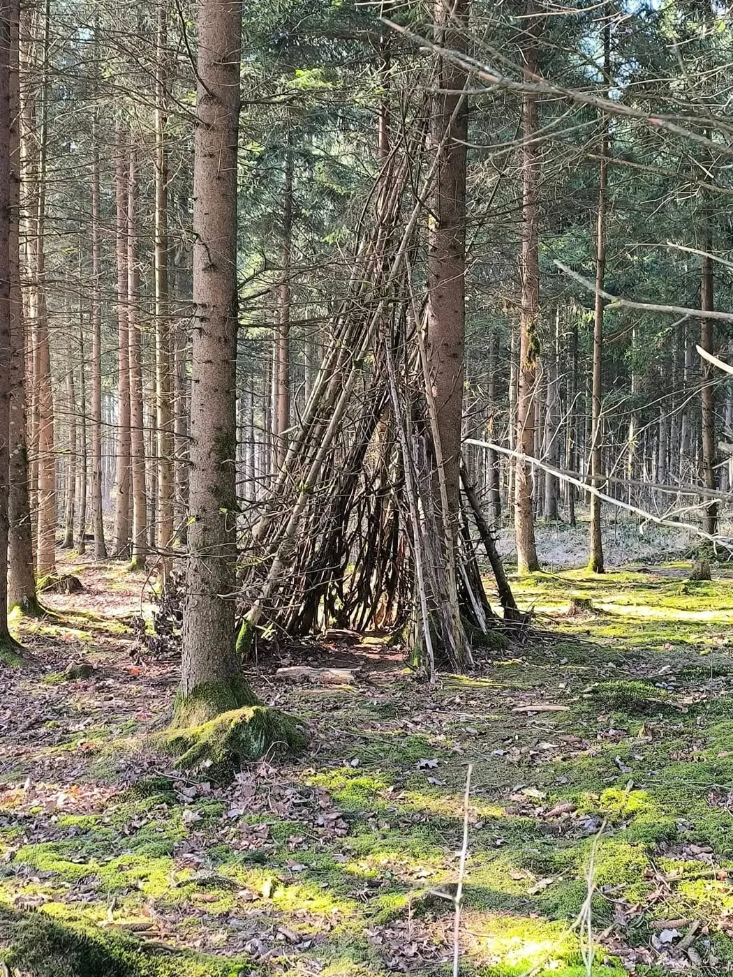 Wanderung um die Schacherteiche (Großer und Kleiner Schacherteich)