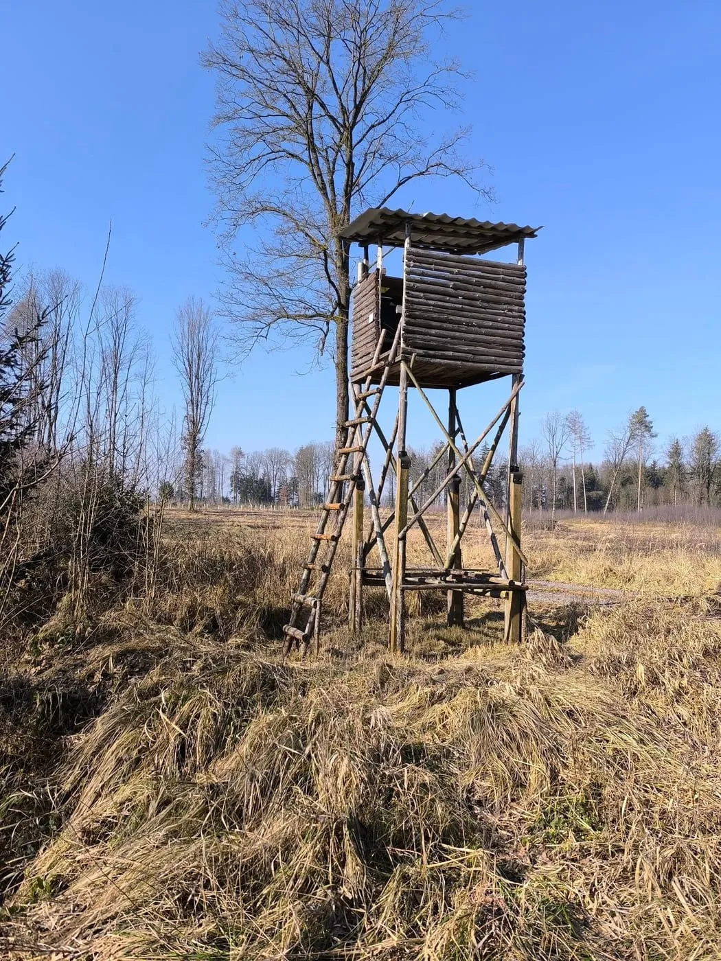 Wanderung um die Schacherteiche (Großer und Kleiner Schacherteich)