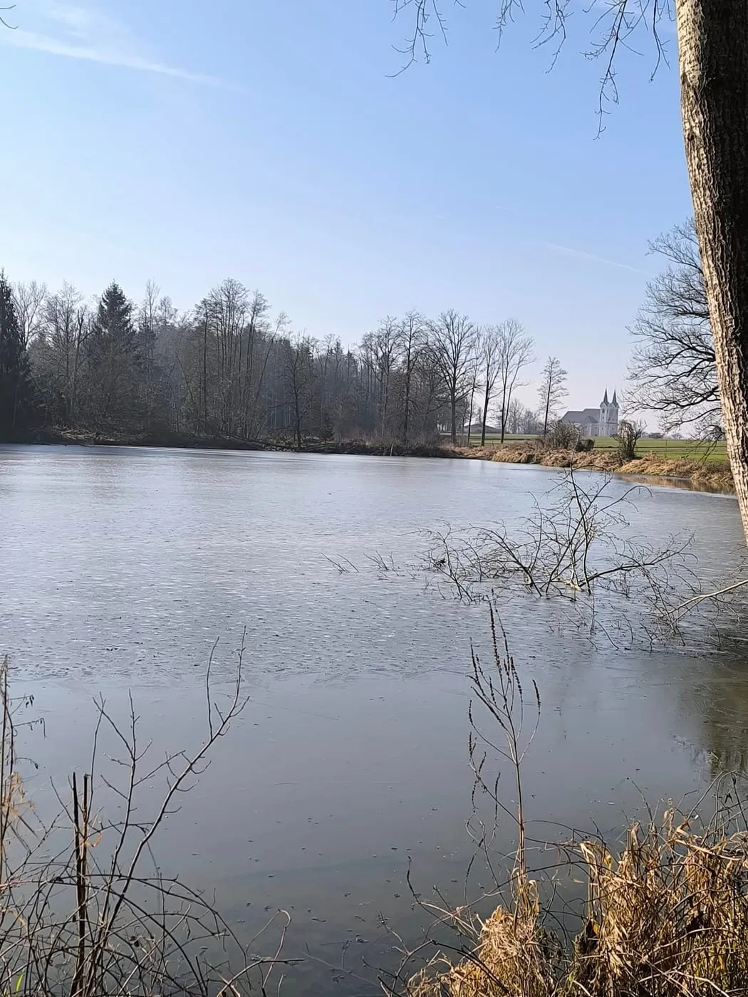 Wanderung um die Schacherteiche (Großer und Kleiner Schacherteich)