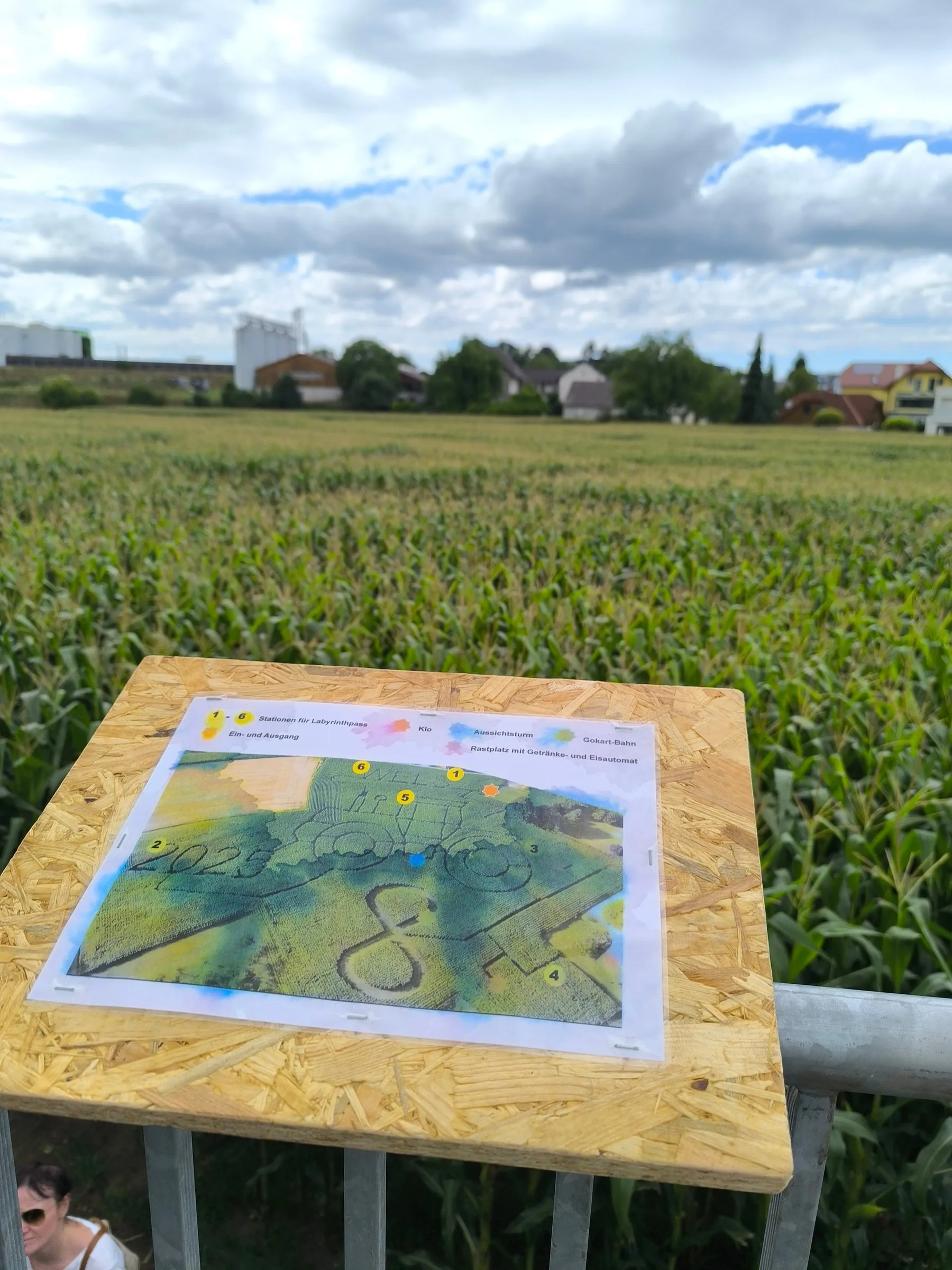 Blick über das Maisfeld des Welser Maislabyrinths