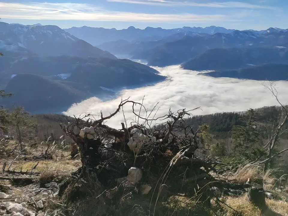 Windhagkogel (1334m) & Hohe Mauer (1174m)