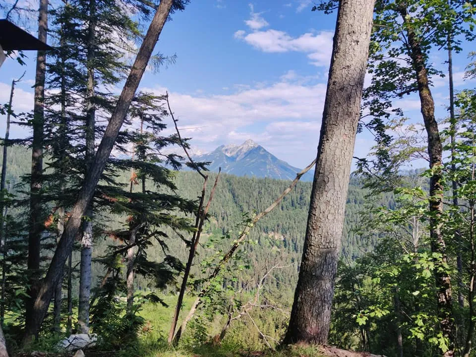 Zeller Hütte (1575m) - immer ein Tipp!
