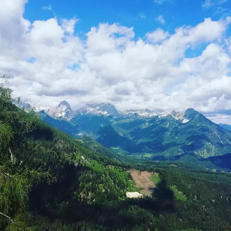 Zeller Hütte (1575m) - immer ein Tipp!