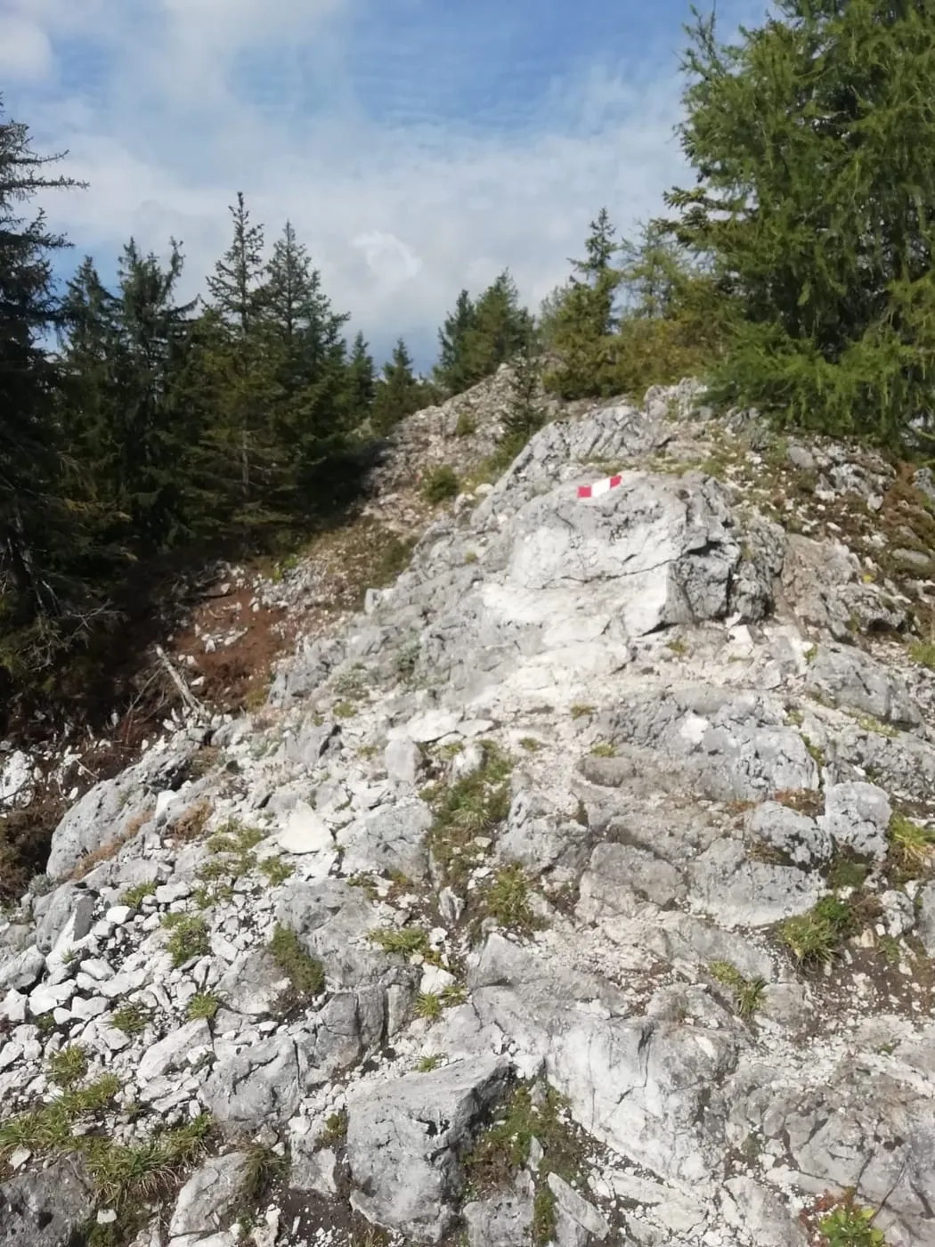 Zwillingskogel (1402m)