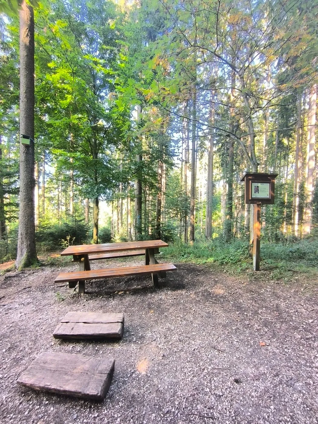Rastplatz mit Tisch und Bank neben einer Infotafel