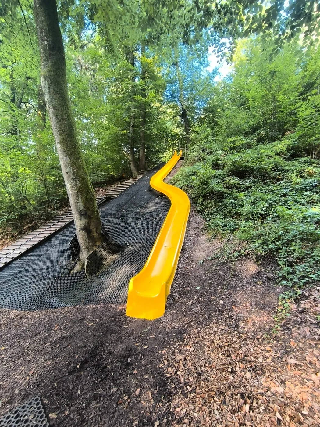 Gelbe Kurvenrutsche neben einem Holzsteg am Hang