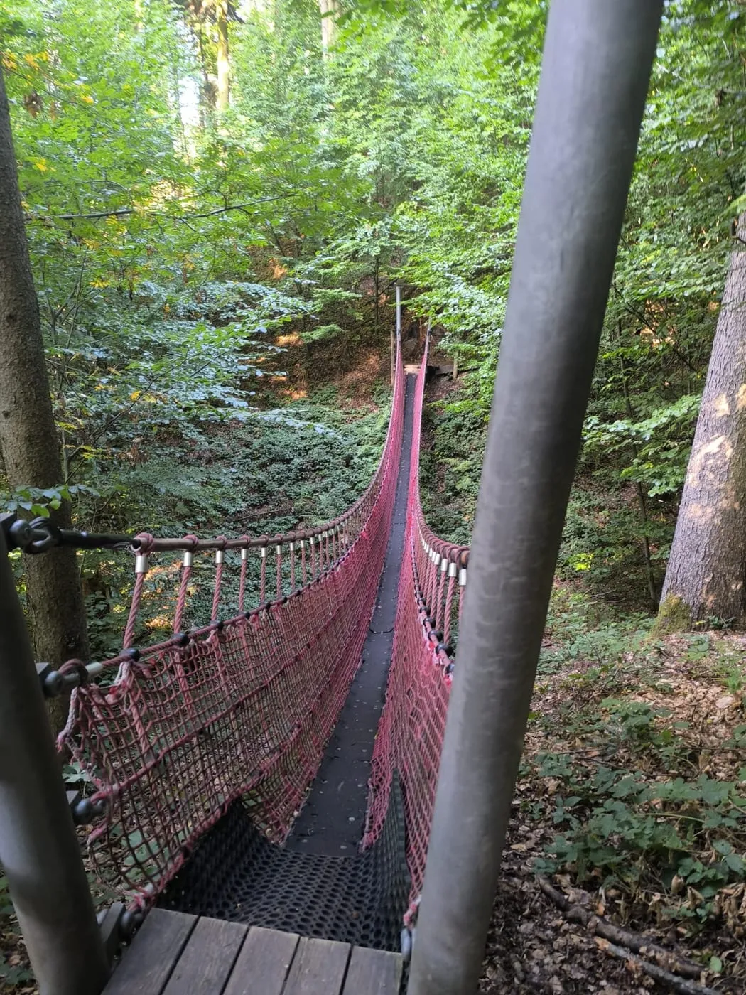 Hängebrücke mit rotem Netz über eine Waldsenke