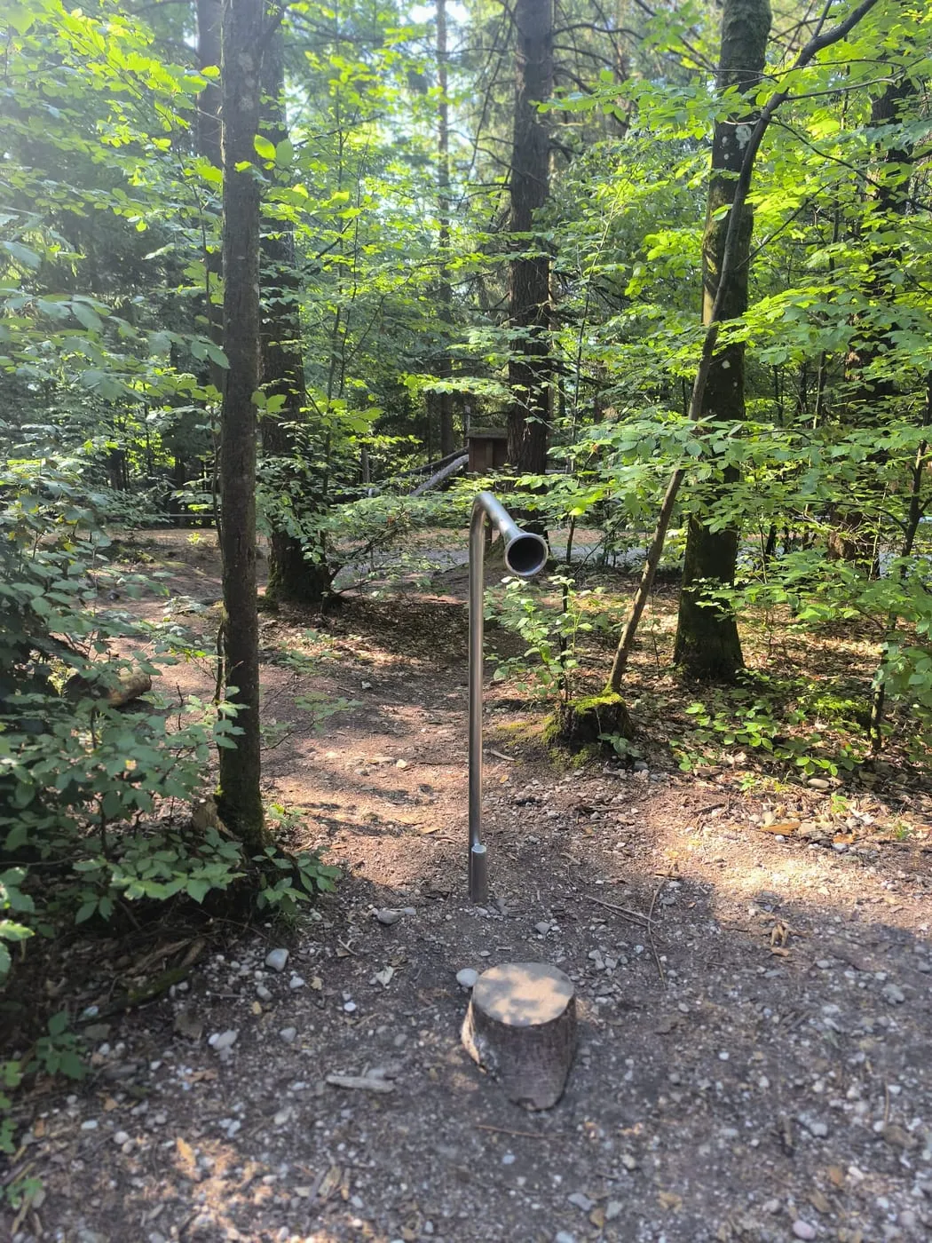 Hörrohr aus Metall am Wegrand, dahinter der Waldpfad