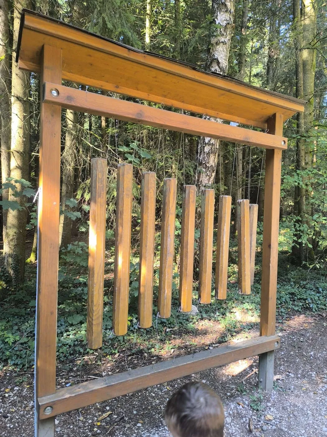 Das Waldxylophon aus aufgehängten Holzstäben